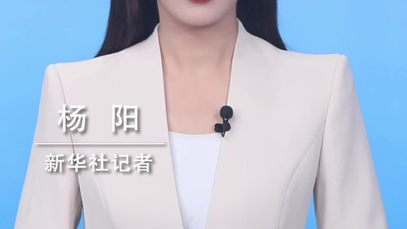 智能客服自动回复：如何构建高效的服务场景**